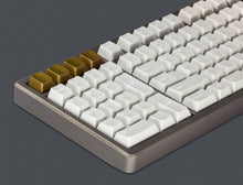 Load image into Gallery viewer, Group Buy - R2 Fossil Southpaw Full Size Keyboard Kit